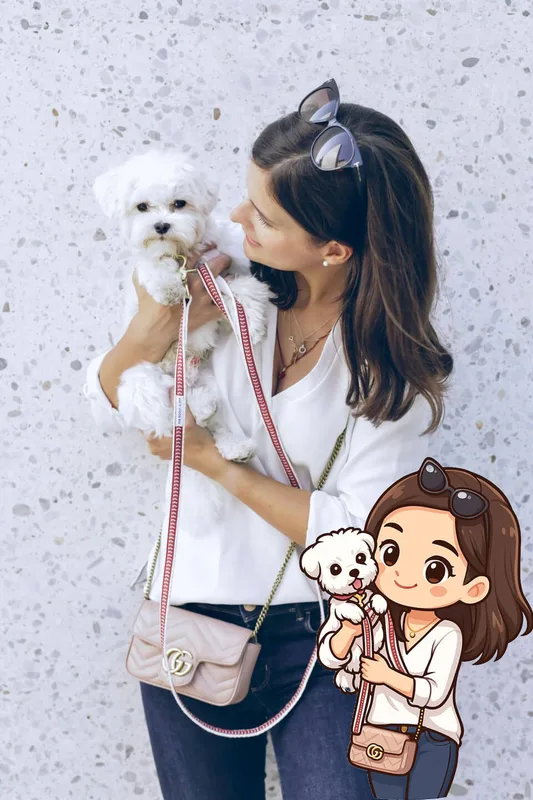 AI Chibi generator - photo to Chibi style example